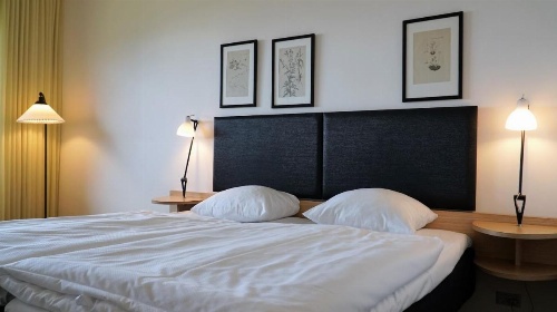 Munkebjerg Hotel image 12