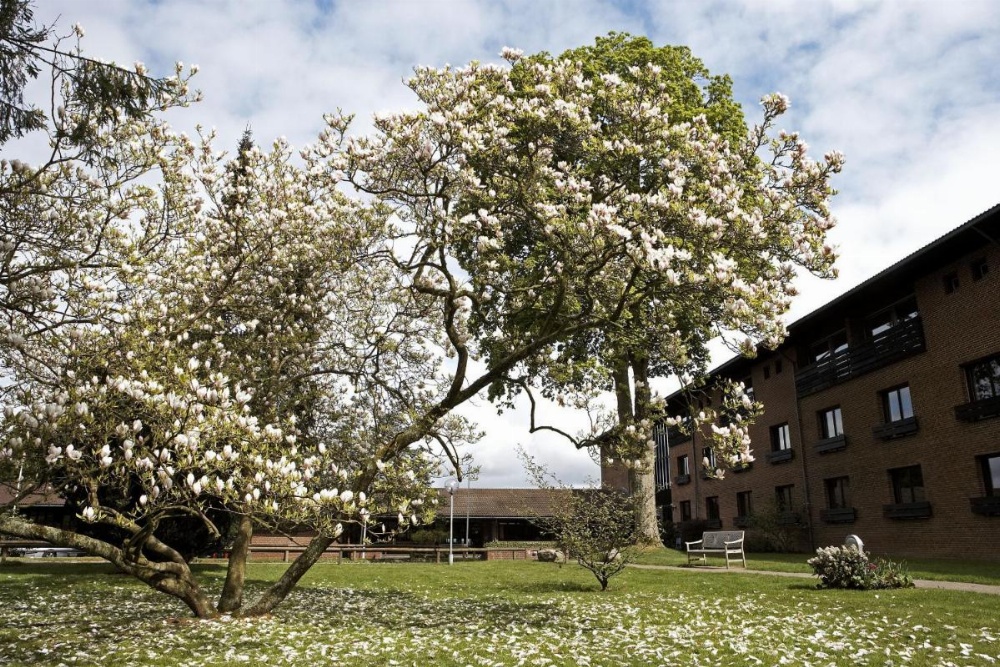Munkebjerg Hotel Image 44